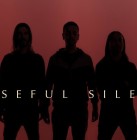 NOISEFUL SILENCE